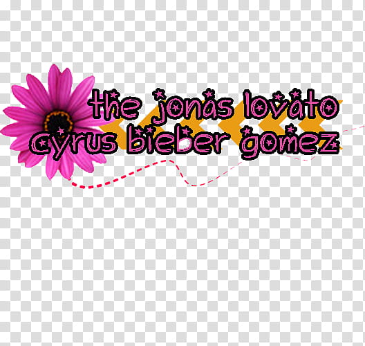 the jonas lovato cyrus bieber gomez transparent background PNG clipart