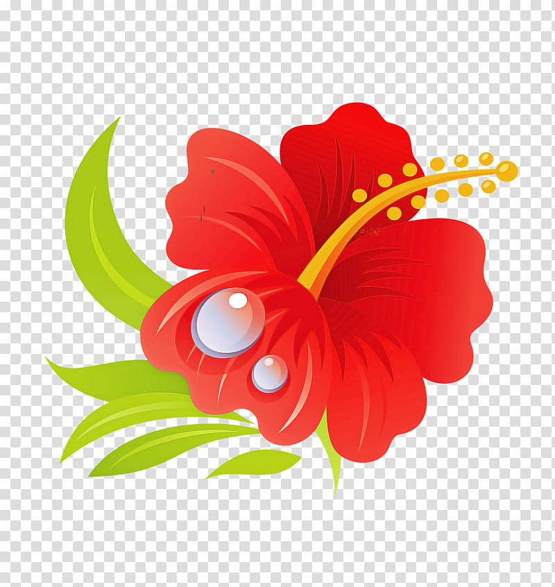 hawaiian hibiscus flower hibiscus red petal, Plant, Mallow Family, Chinese Hibiscus transparent background PNG clipart