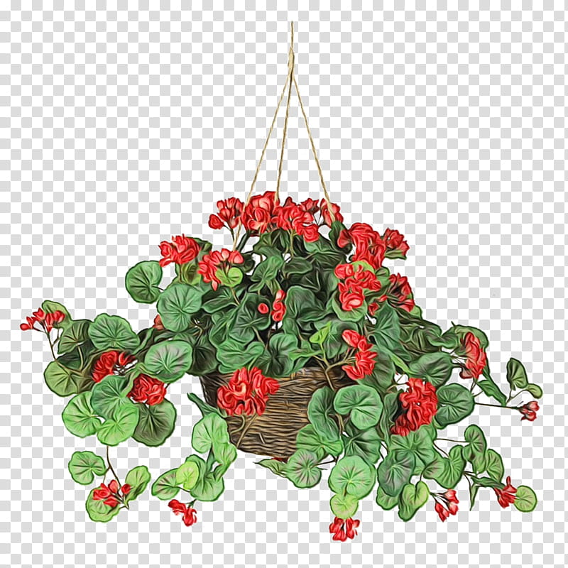 flower plant red flowering plant flowerpot, Watercolor, Paint, Wet Ink, Anthurium, Houseplant, Impatiens, Begonia transparent background PNG clipart