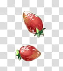 , two red strawberries transparent background PNG clipart