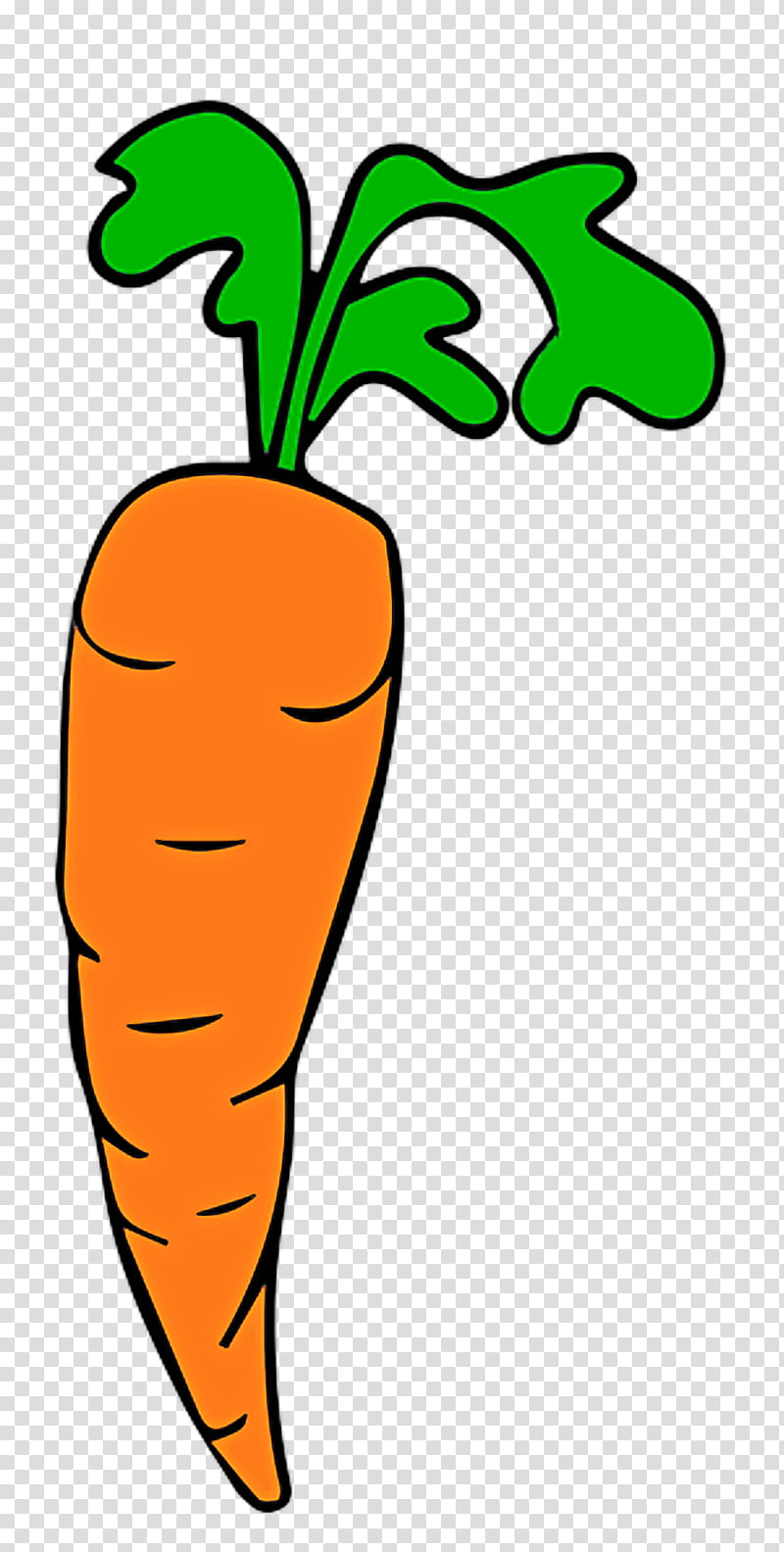 carrot root vegetable vegetable radish plant, Wild Carrot, Plant Stem, Food transparent background PNG clipart