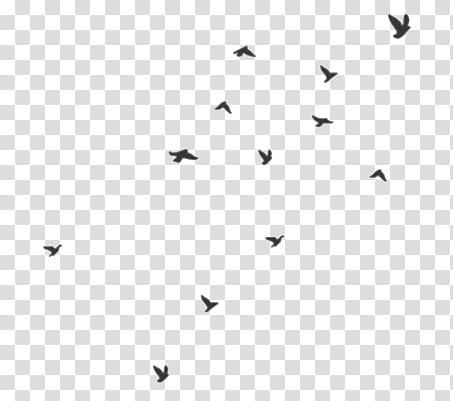 Doodles and Drawing , flock of birds in flight transparent background PNG clipart