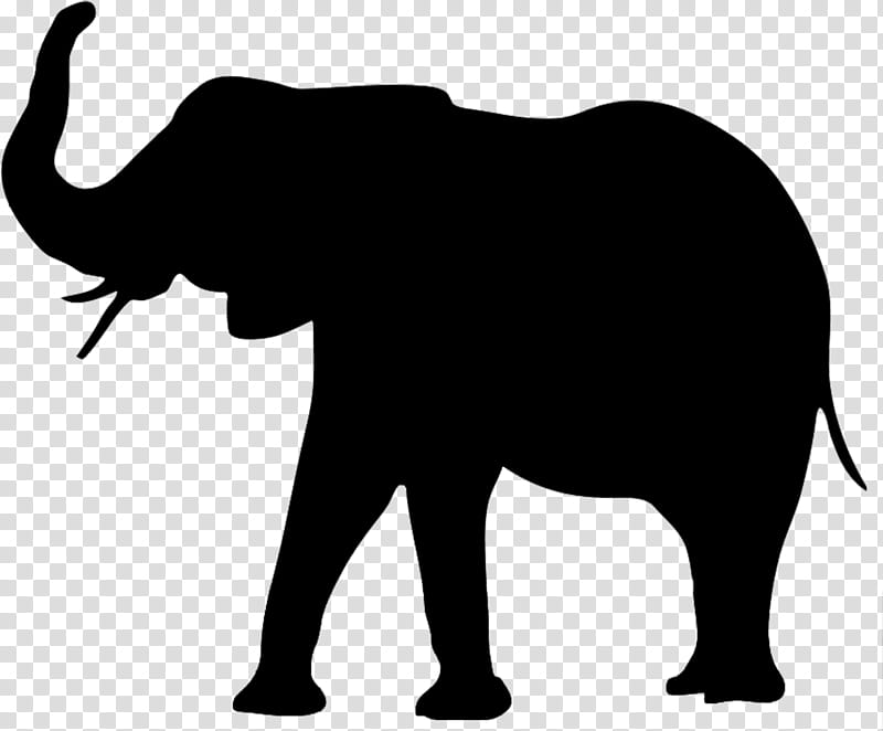 Elephant, Silhouette, African Bush Elephant, Animal Silhouettes, Indian Elephant, White Elephant, African Elephant, Asian Elephant transparent background PNG clipart