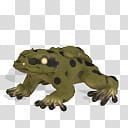 Spore creature Common frog , green frog transparent background PNG clipart