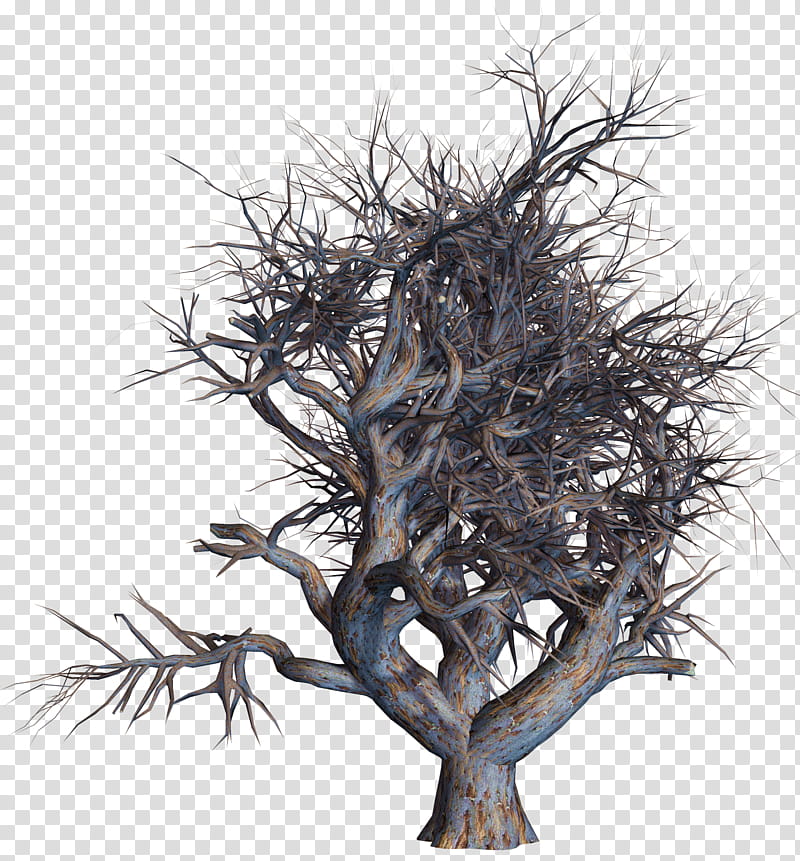 Dead Trees , tree branches with no leaves transparent background PNG clipart