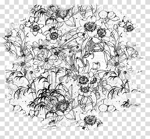 Floral Seamless Pattern Made Of Elegant Flowers Outline Detailed Sketch  Line Drawing Stock Illustration  Download Image Now  iStock