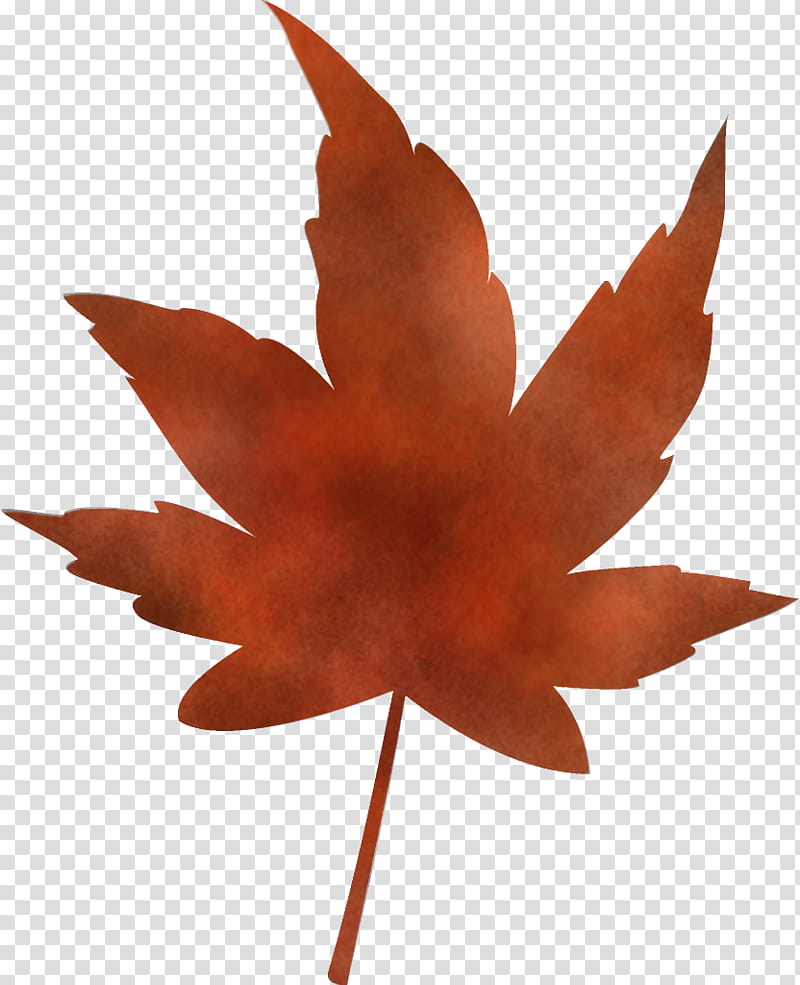 maple leaf autumn leaf yellow leaf, Tree, Plant, Woody Plant, Sweet Gum, Plane, Soapberry Family, Flower transparent background PNG clipart