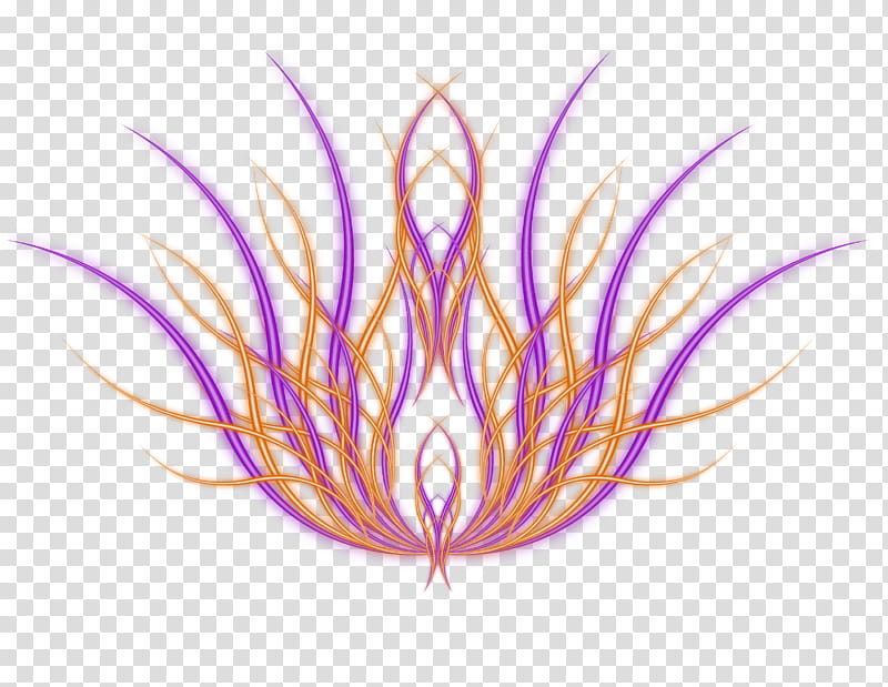 Rize Flowers, purple and orange lines abstract illustration transparent background PNG clipart