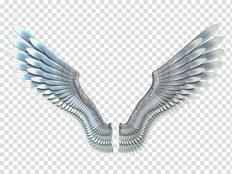 Magical Wings , silver wings illustration transparent background PNG clipart
