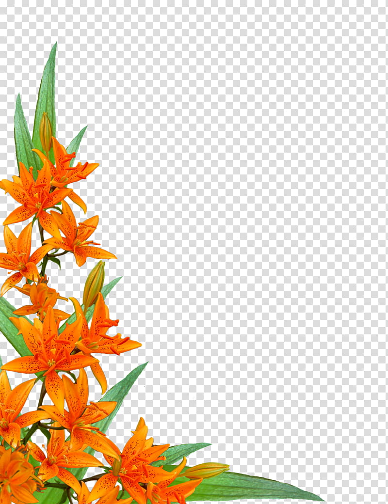 flowers corners, orange petaled flower transparent background PNG clipart