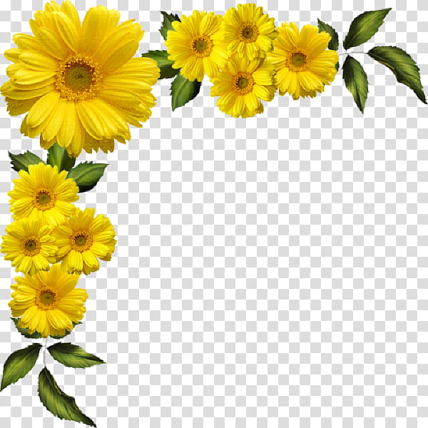 yellow flower border