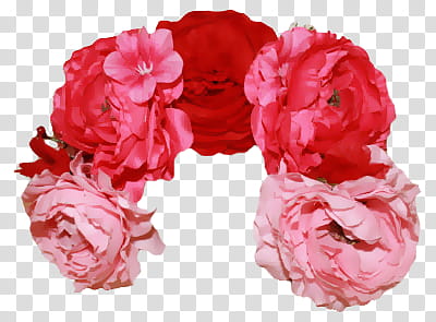 Day of the Dead Tutorial, red petaled flowers transparent background PNG clipart