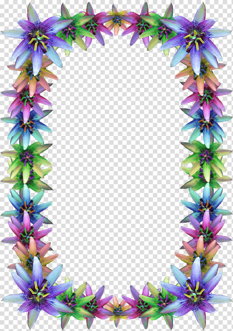 Colourful Passion Flower Frame Cutout transparent background PNG clipart