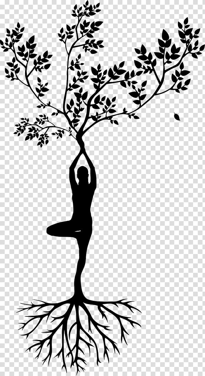 Tree Branch Silhouette, Woman, Meditation, Root, Drawing, Leaf, Plant, Plant Stem transparent background PNG clipart