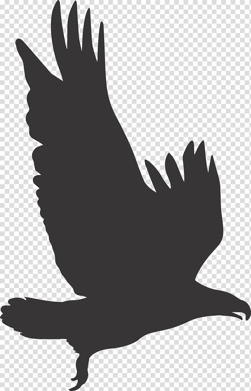 Eagle Bird, Bald Eagle, Silhouette, Hawk, Wing, Beak, Claw, Hand transparent background PNG clipart