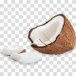 SUMMER RESOURCES , coconut-oil icon transparent background PNG clipart