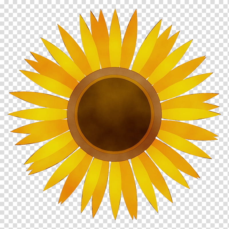 Watercolor Sunflower, Paint, Wet Ink, Logo, , Royaltyfree, Royalty Payment, Dreamstime transparent background PNG clipart