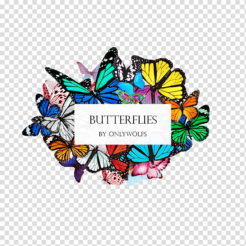 Butterflies Mariposas , butterflies transparent background PNG clipart