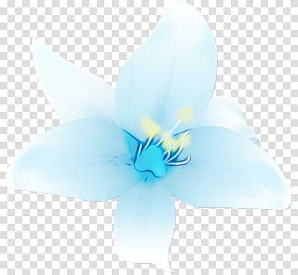 blue petal white flower plant, Watercolor, Paint, Wet Ink, Turquoise, Flowering Plant, Wildflower, Morning Glory transparent background PNG clipart