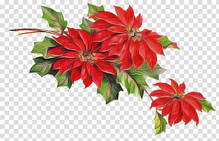 Artificial flower, Poinsettia, Red, Plant, Petal, Leaf, Cut Flowers, Dahlia transparent background PNG clipart