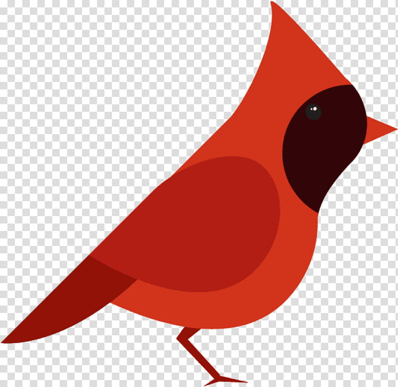 Cardinal Bird, Northern Cardinal, European Robin, St Louis Cardinals, Drawing, Silhouette, Beak, Red transparent background PNG clipart