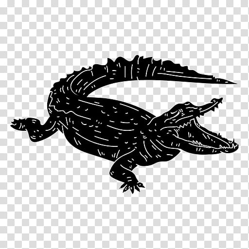 Alligator, Reptile, Alligators, Crocodile, Silhouette, Snakes, Crocodiles, Crocodilia transparent background PNG clipart