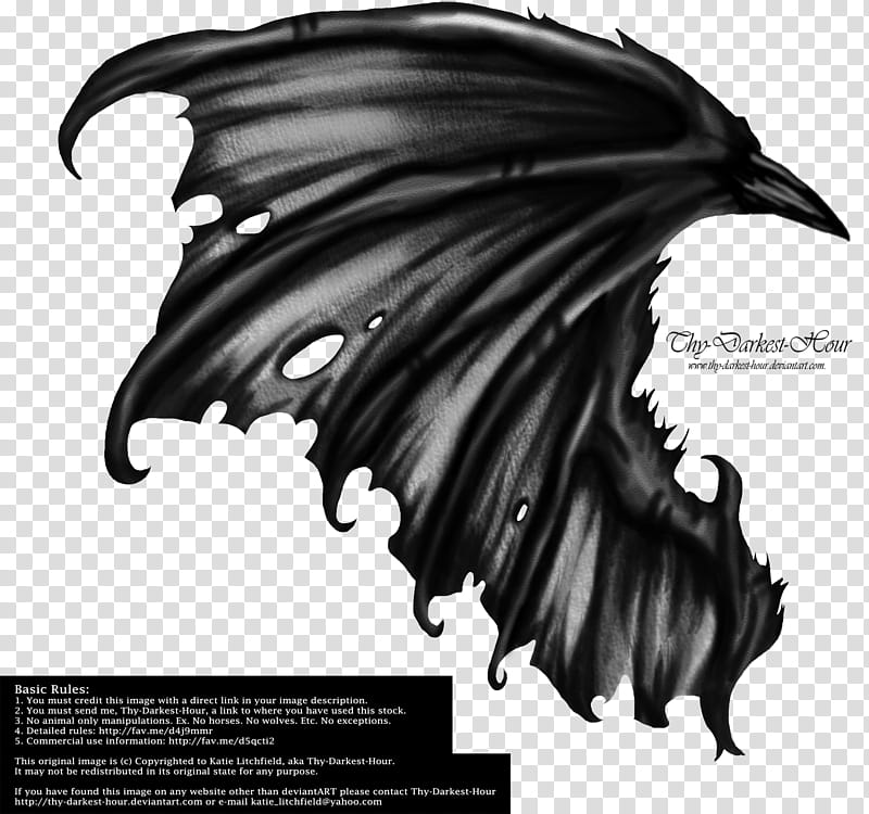 Hellraiser Wings, black wing illustration transparent background PNG clipart
