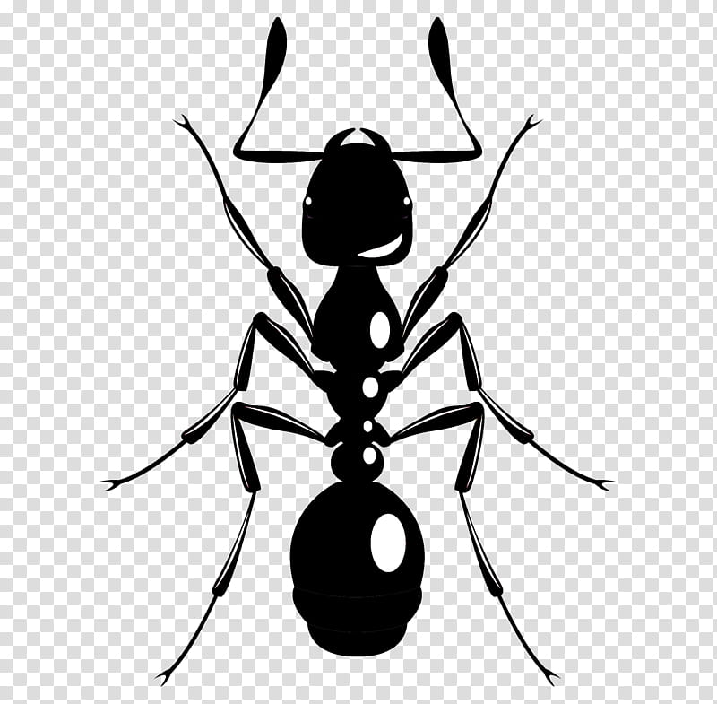 insect pest ant membrane-winged insect, Membranewinged Insect transparent background PNG clipart