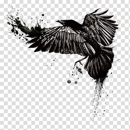 Bird Tattoo, Raven, Tattoo Artist, Idea, Blackandgray, Crow, Tattoo Ink, Inked transparent background PNG clipart