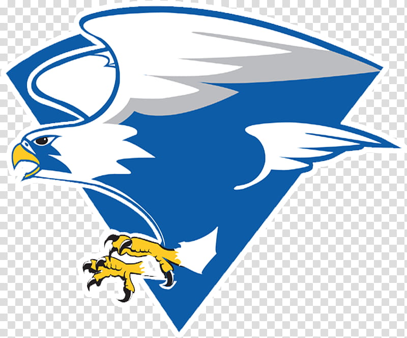 American Football, North Forney High School, Pine Tree High School, Sulphur Springs High School, School
, Sports, North Crowley High School, Forney Independent School District transparent background PNG clipart