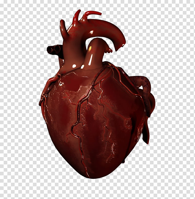 E S Bloody heart, human heart illustration transparent background PNG clipart