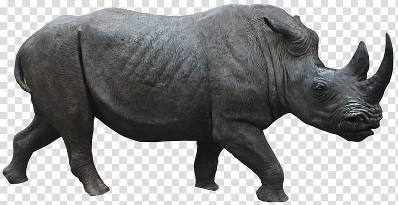 Rhino  HQ, black rhinoceros transparent background PNG clipart