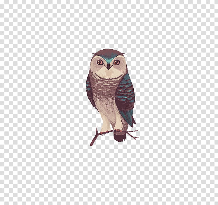 Christmas Resource , teal and brown owl illustration transparent background PNG clipart