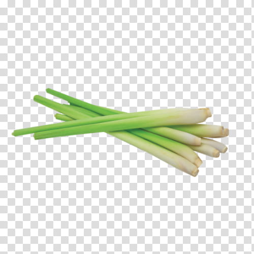 vegetable food plant celery welsh onion, Leek, Scallion, Ingredient, Lemongrass transparent background PNG clipart