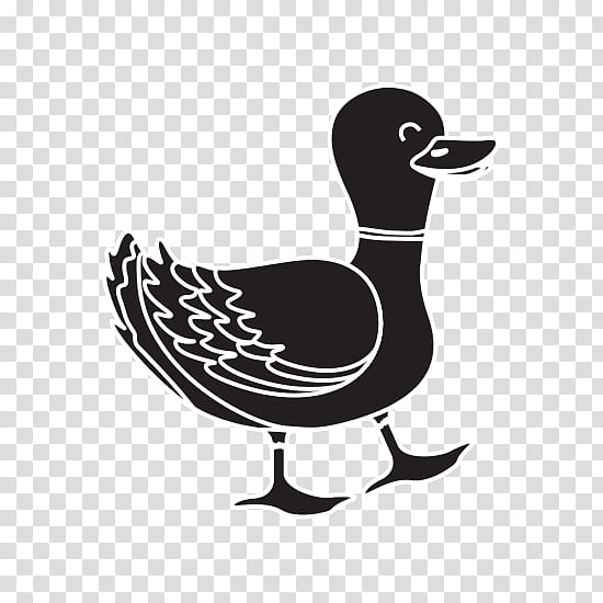 Duck, Goose, Bird, Beak, Water Bird, Ducks Geese And Swans, Waterfowl, American Black Duck transparent background PNG clipart