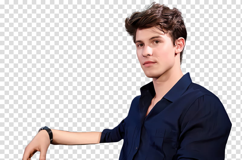 Hair, Shawn Mendes, Singer, Im The Man, Male, Forehead, Chin, Cheek transparent background PNG clipart