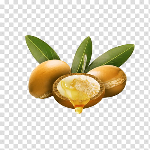 plant fruit food flower tree, Olive, Citrus, Ingredient transparent background PNG clipart