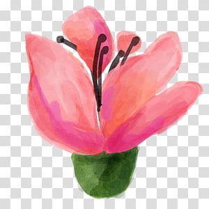 watercolor vintage flowers 15, pink and green flower illustration transparent background PNG clipart thumbnail