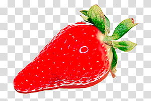 Elements , strawberry fruit transparent background PNG clipart
