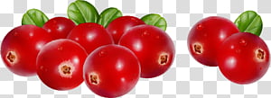 natural foods fruit berry lingonberry food, Watercolor, Paint, Wet Ink, Red, Cranberry, Currant, Plant transparent background PNG clipart thumbnail