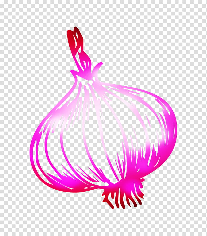 Onion, Line, Pink M, Plants, Vegetable, Magenta, Red Onion, Allium transparent background PNG clipart