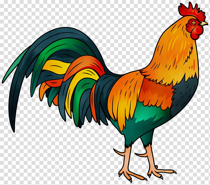 Chicken, Rooster, Adhan, Pet, Animal, Khwab Ki Tabeer, Video, Mug transparent background PNG clipart