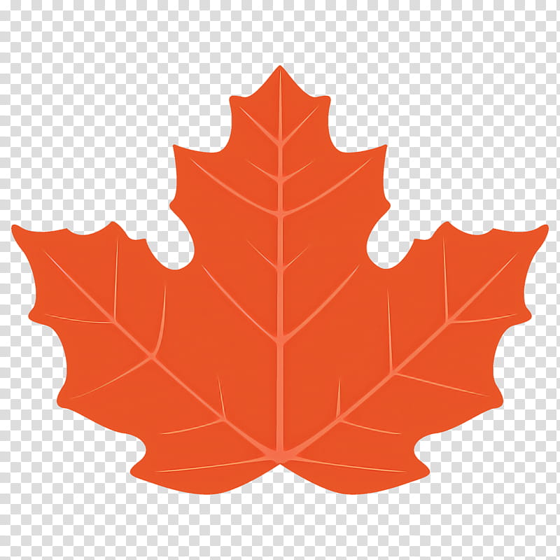 maple leaf autumn leaf fall leaf, Tree, Black Maple, Woody Plant, Plane, Deciduous, Planetree Family, Silver Maple transparent background PNG clipart