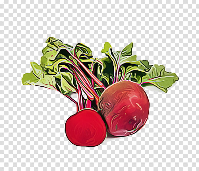 radish beetroot beet vegetable food, Turnip, Plant, Leaf Vegetable, Superfood transparent background PNG clipart
