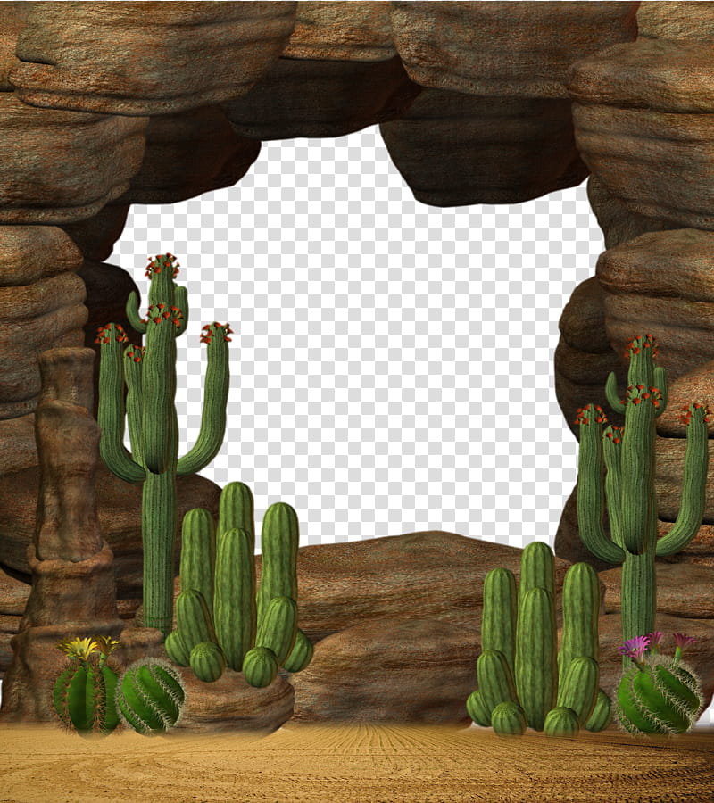 ROCK, green cactus plant transparent background PNG clipart