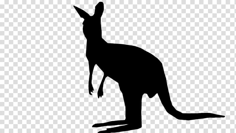 Kangaroo, Silhouette, Whiskers, Wallaby, Macropodidae, Wildlife, Tail, Red Kangaroo transparent background PNG clipart