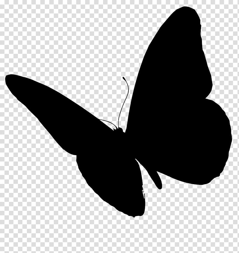 Butterfly Silhouette, Sticker, Animation, Car, Borboleta, Flight, Animal, Black M transparent background PNG clipart