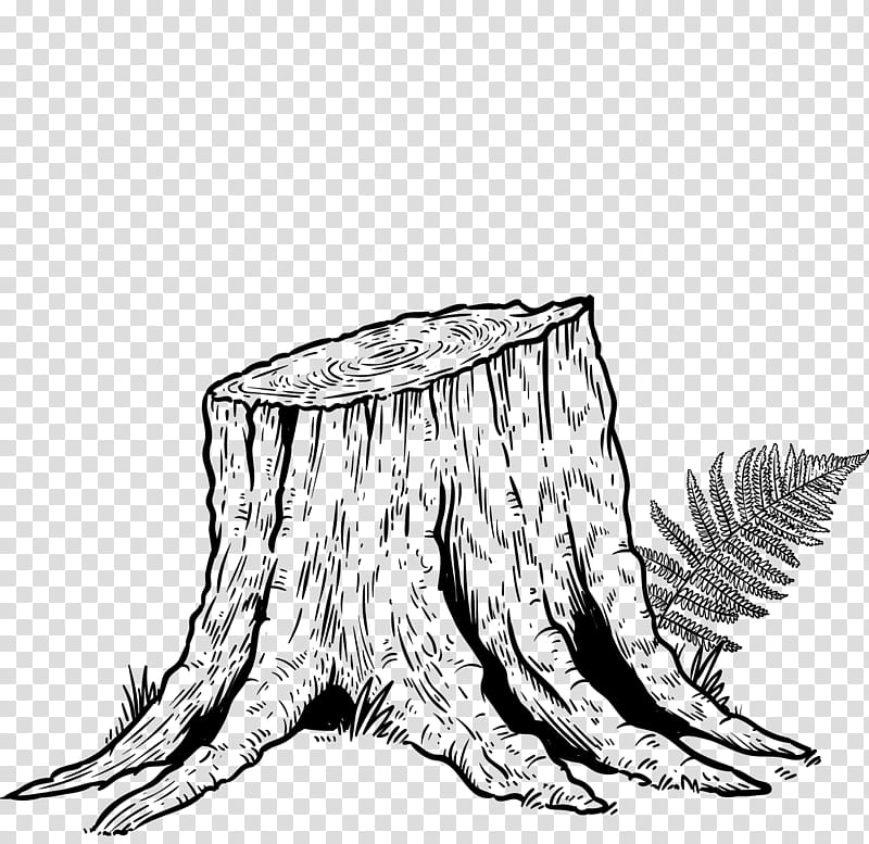 Tree Trunk Drawing, Line Art, Tree Stump, Arborist, Root, Arboriculture, Stump Grinder, Woody Plant transparent background PNG clipart