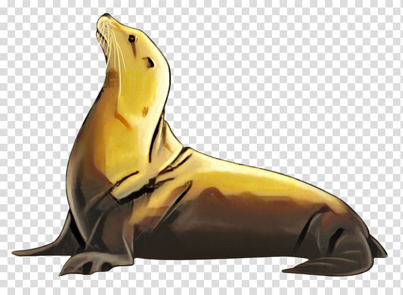 Cartoon Banana, Sea Lion, Animal, California Sea Lion, Steller Sea Lion, Fur Seal, Animal Figure, Earless Seal transparent background PNG clipart