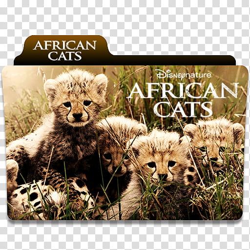 African Cats  folder icon V, African Cats. () transparent background PNG clipart